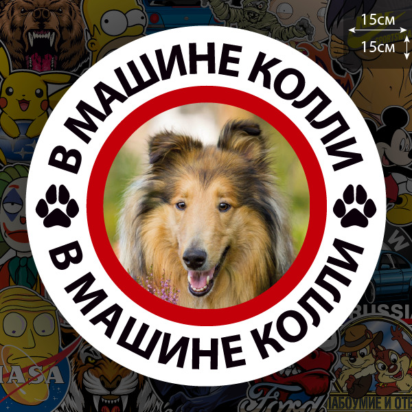 Наклейка Собака в машине / колли