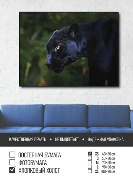 Постер на холсте Черная пантера, 40х30 см