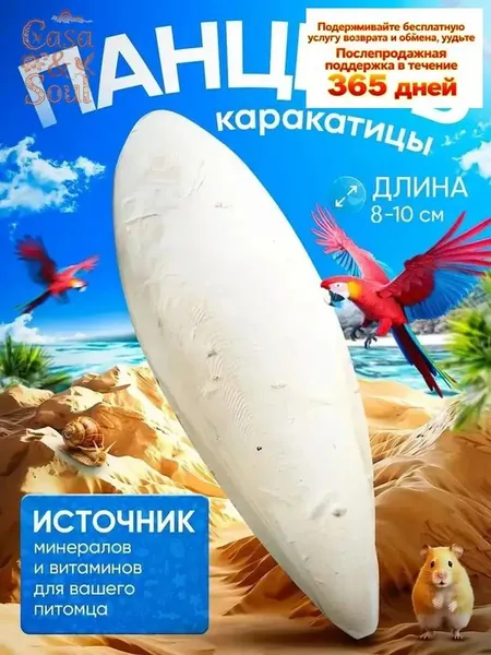Сепия 8-10 см 1 штуки, панцирь каракатицы для улиток, черепах, попугаев, рептилий, корм для птиц Casa & Soul