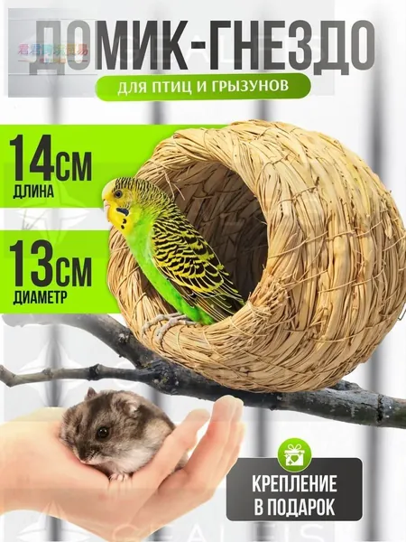 соломенное птичье гнездо