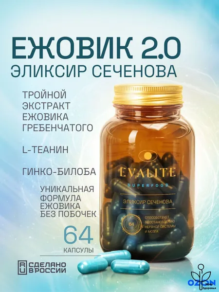 Evalite.Superfood Ежовик гребенчатый капсулы с гинко билоба, l теанином и витамином с. Бад от стресса и тревоги с l-теанином и гинго билоба. Витамины для памяти и мозга - Эликсир Сеченова