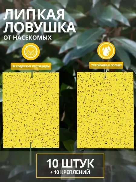 Липкая ловушка для насекомых, липучки от мошек в теплицах и горшках, клеевая пластина.