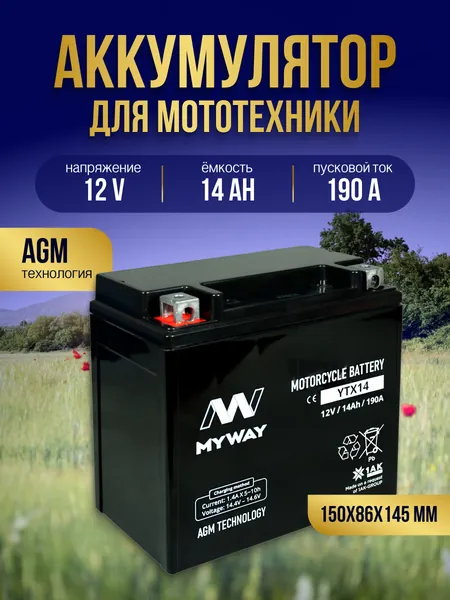 Аккумулятор для мотоцикла 12в 14 Ah 190 A прямая полярность MYWAY YTX14 акб для мототехники 12v AGM, мопеда альфа, скутера, квадроцикла, питбайка, снегохода, генератора 150x86x145