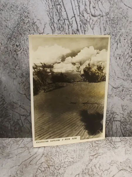 Барханы у реки Или. Казахстан, 1940 г. Фотограф Ю. Яневский