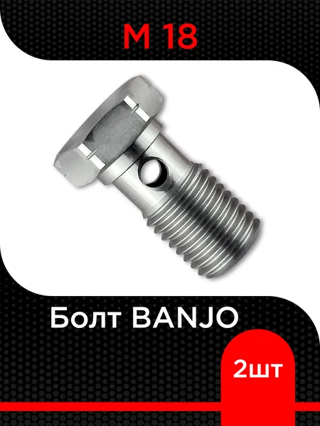 Болт BANJO М18 ( 2 шт)