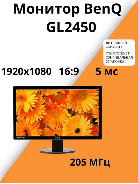 Монитор (BenQ GL2450), 1920x1080