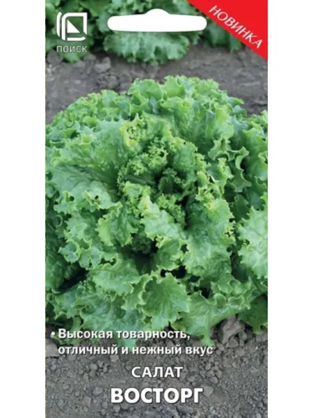 Семена Салат сорт Восторг