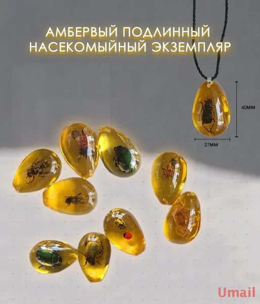 Коллекционирование насекомых