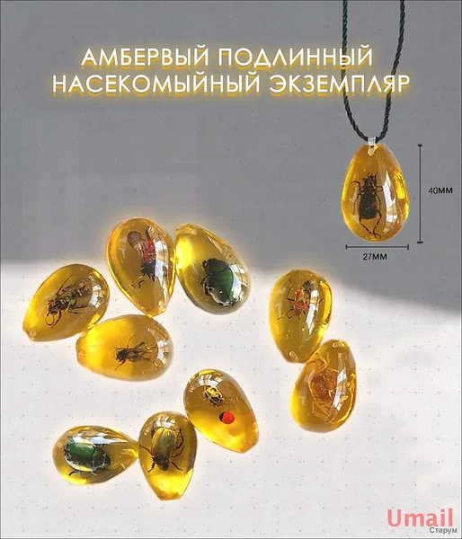 Коллекционирование насекомых