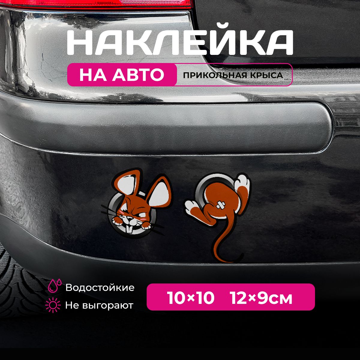 Наклейка Крыса прикольная