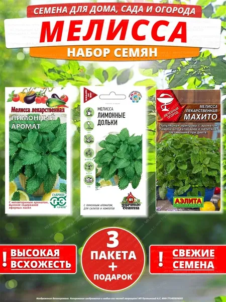 Семена мелисса для дома сада посадки
