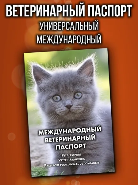 Ветеринарный паспорт для кошек и собак международный