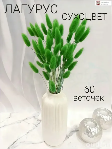 Сухоцветы Лагурус 55 см 60 шт зеленый